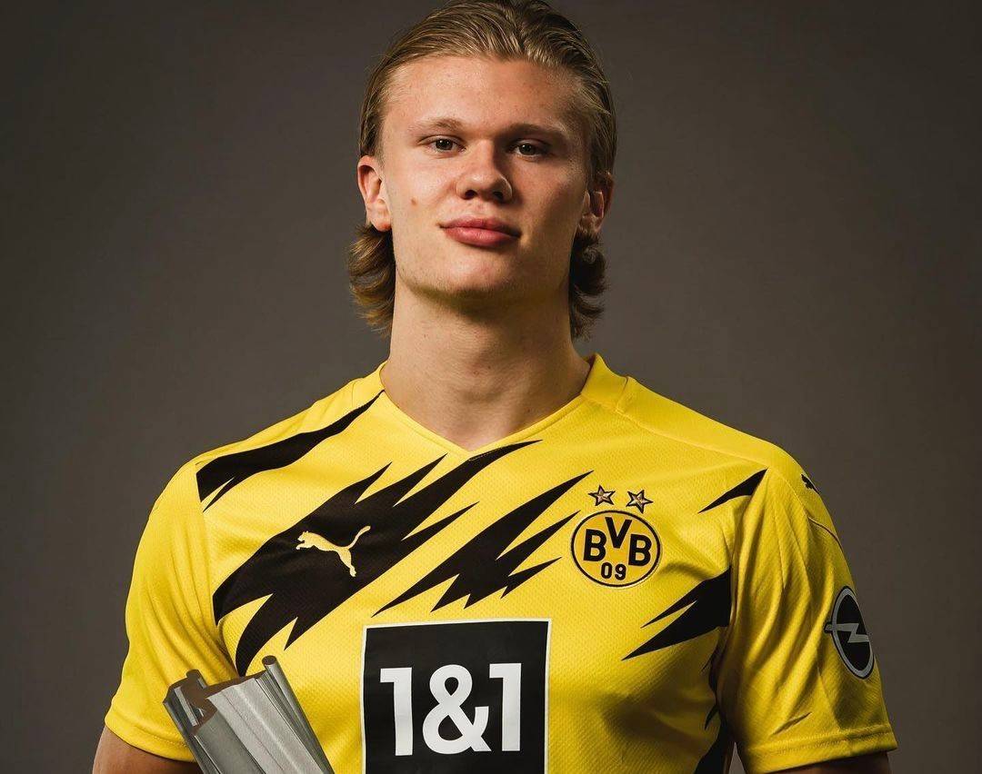 未来回报 未来回报